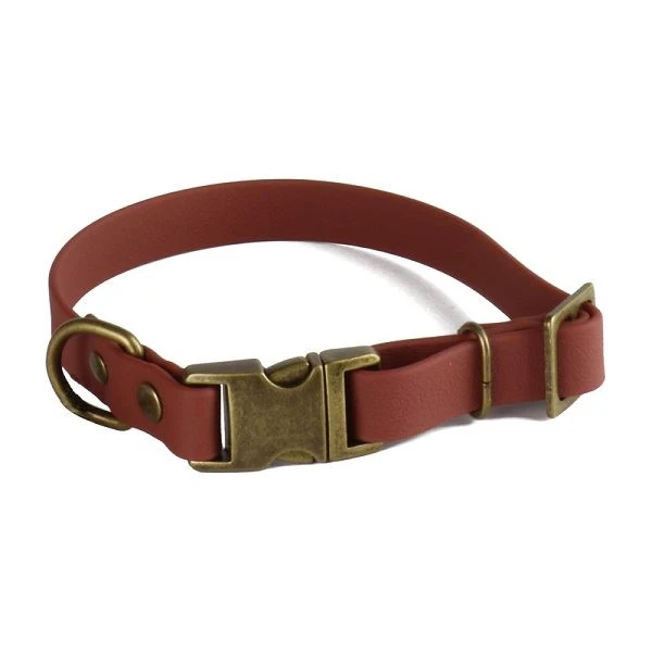 Bronze Buckle Dog da cổ áo và dây xích