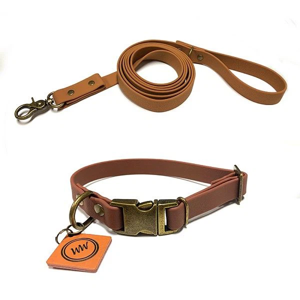 Tốt nhất puppy cổ áo và chì