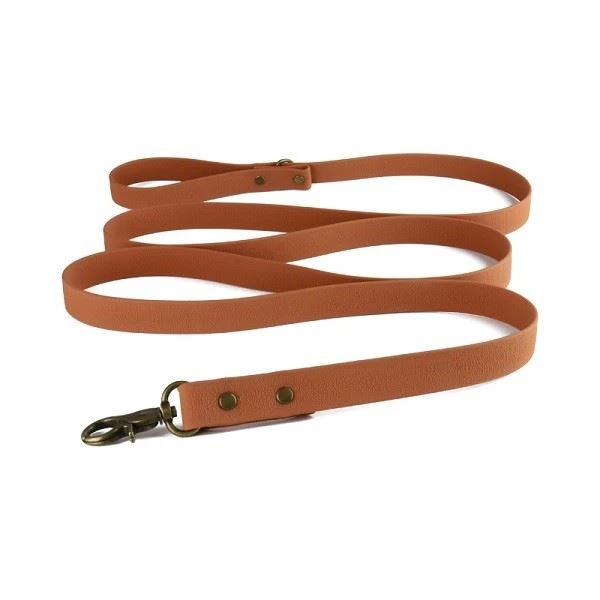 Bronze Buckle Dog Leather Collar And Leash